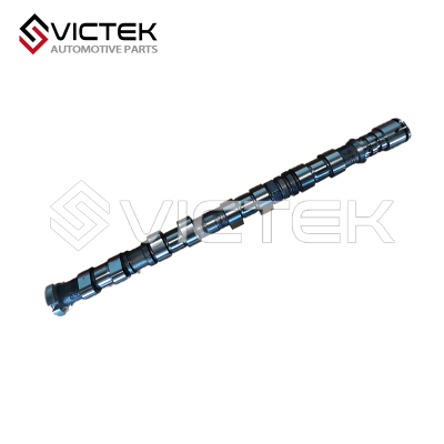 Впускной распределительный вал 1007210GD190